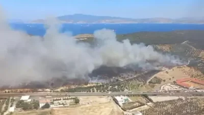 İzmir'in Aliağa ilçesi Çaltılıdere Mahallesi'nde çıkan yangına çok sayıda hava