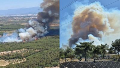 İzmir'in son bir haftada dördüncü orman yangını Çiçekliköy-Yakaköy bölgesinde; 9