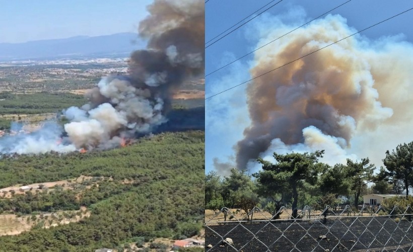 İzmir'in son bir haftada dördüncü orman yangını Çiçekliköy-Yakaköy bölgesinde; 9