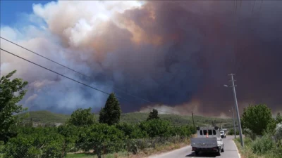 İzmir'in Menderes ve Seferihisar ilçeleri arasındaki ormanlık alanda çıkan yangın