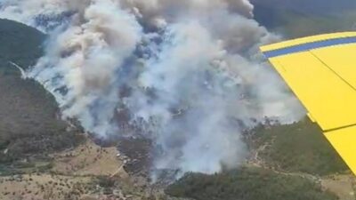 İzmir'in Menderes ilçesinde orman yangını çıktı. Bölgeye sevk edilen ekipler,