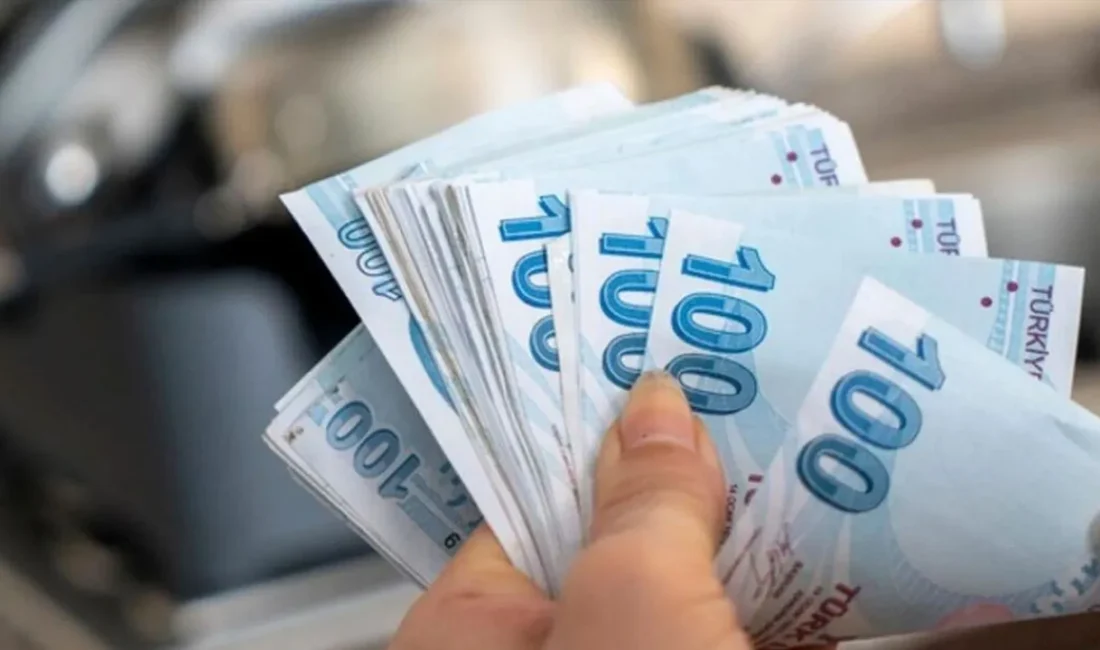 Türkiye İstatistik Kurumu'nun (TÜİK) 2024 yılı hane halkı tüketim harcaması