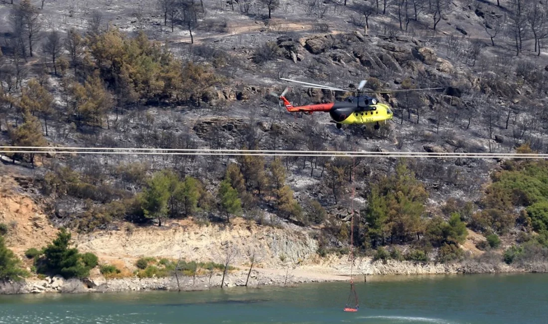 Manisa'nın Akhisar ilçesinde 28 Haziran'da başlayan ve bir arıcının arıları