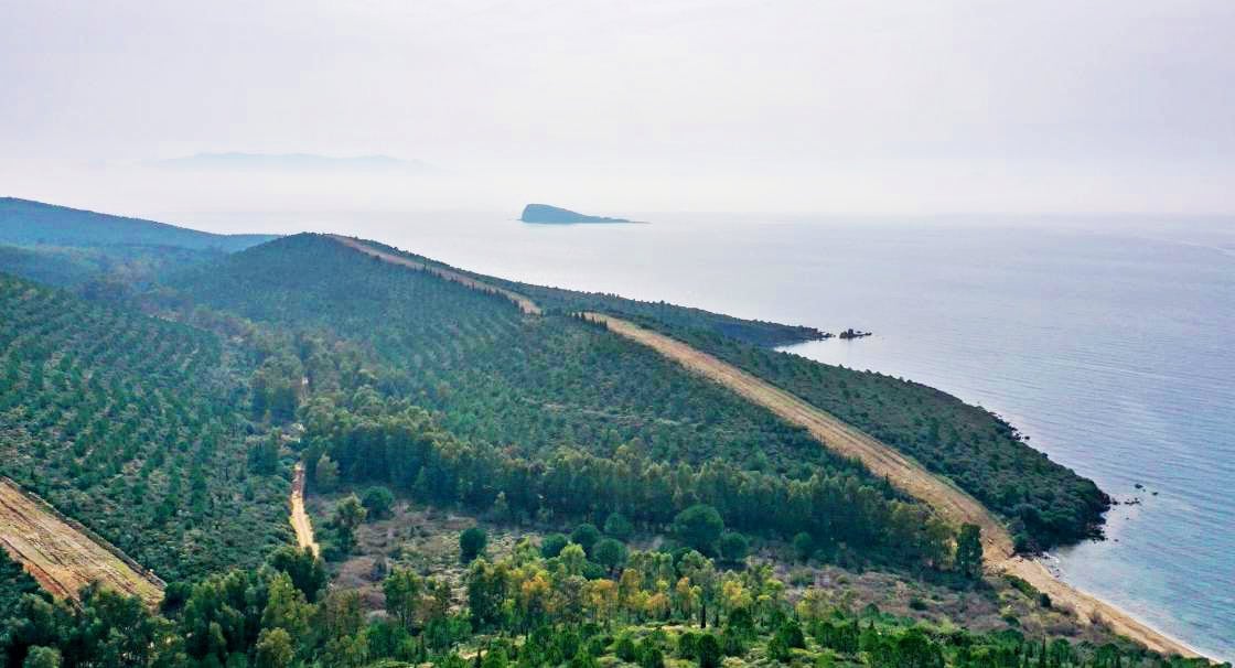 Kültür ve Turizm Bakanlığı tarafından Resmi Gazete'de yayımlanan yönetmelik değişikliği,