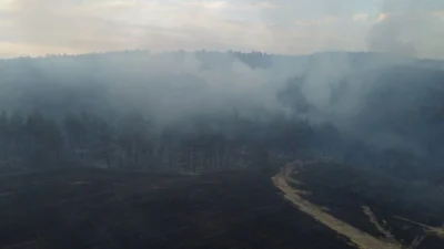 Son iki günde Türkiye genelinde çıkan orman yangınları yürekleri yaktı.