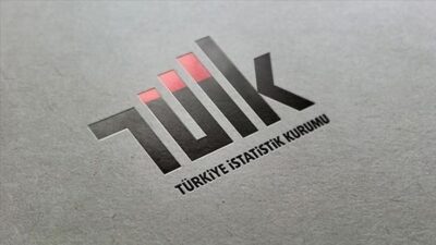 TÜİK verilerine göre mayıs ayında enflasyon aylık %1,53, yıllık %35,41