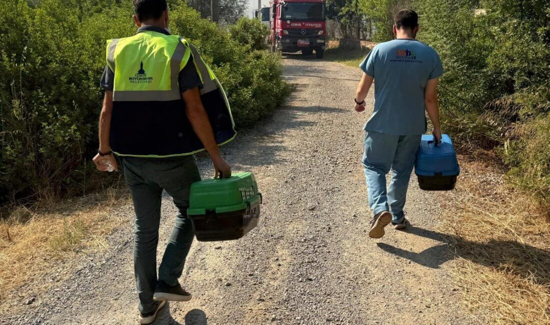 İzmir Büyükşehir Belediyesi, hafta sonu kent genelinde çıkan 9 orman