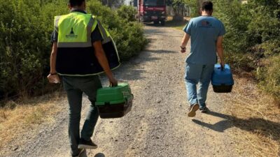 İzmir Büyükşehir Belediyesi, hafta sonu kent genelinde çıkan 9 orman