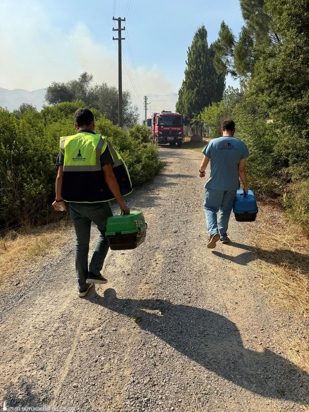 İzmir Büyükşehir Belediyesi, hafta sonu kent genelinde çıkan 9 orman