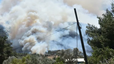 Menderes ve Seferihisar ilçeleri sınırındaki ormanlık alanda çıkan yangına uçaklarla