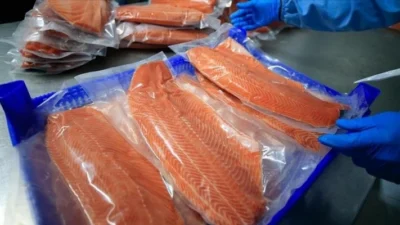 ABD Gıda ve İlaç Dairesi (FDA), biyoteknoloji firması Wildtype'ın laboratuvar