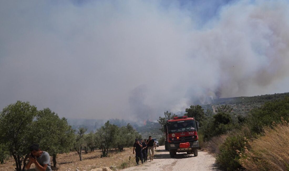İzmir Büyükşehir Belediyesi İtfaiye ekipleri Çeşme ilçesi Ildır Mahallesi’nde otluk