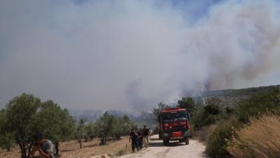 İzmir Büyükşehir Belediyesi İtfaiye ekipleri Çeşme ilçesi Ildır Mahallesi’nde otluk