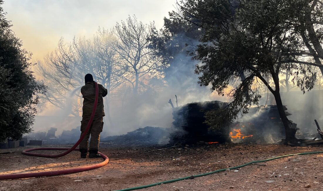 İzmir Büyükşehir Belediyesi İtfaiye ekipleri Çeşme ilçesi Ildır Mahallesi’nde otluk