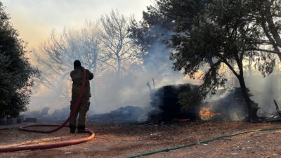 İzmir Büyükşehir Belediyesi İtfaiye ekipleri Çeşme ilçesi Ildır Mahallesi’nde otluk