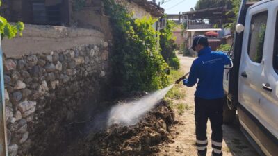 İzmir Büyükşehir Belediyesi, 30 ilçede 27 ekiple sivrisinek ve haşereye