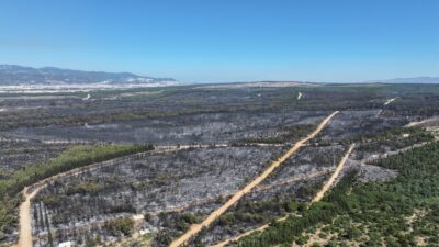 İzmir Ekonomik Kalkınma Koordinasyon Kurulu (İEKKK), İzmir Büyükşehir Belediye Başkanı