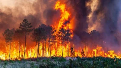 Eskişehir’in Seyitgazi ilçesinde çıkan orman yangınını söndürme çalışmaları büyük bir