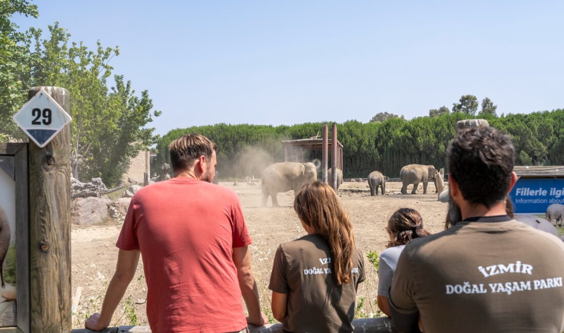 Avrupa Nesli Tehlike Altındaki Türler Programı Asya Filleri Koordinatörü Kappelhof,