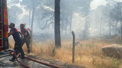 Rüzgarla büyüyen yangına itfaiye ve köy muhtarları tankerlerle müdahale ediyor.
