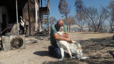 Aliağa’daki yangında yaralanan sahipsiz köpek, tedavi sonrası yıllardır onu besleyen