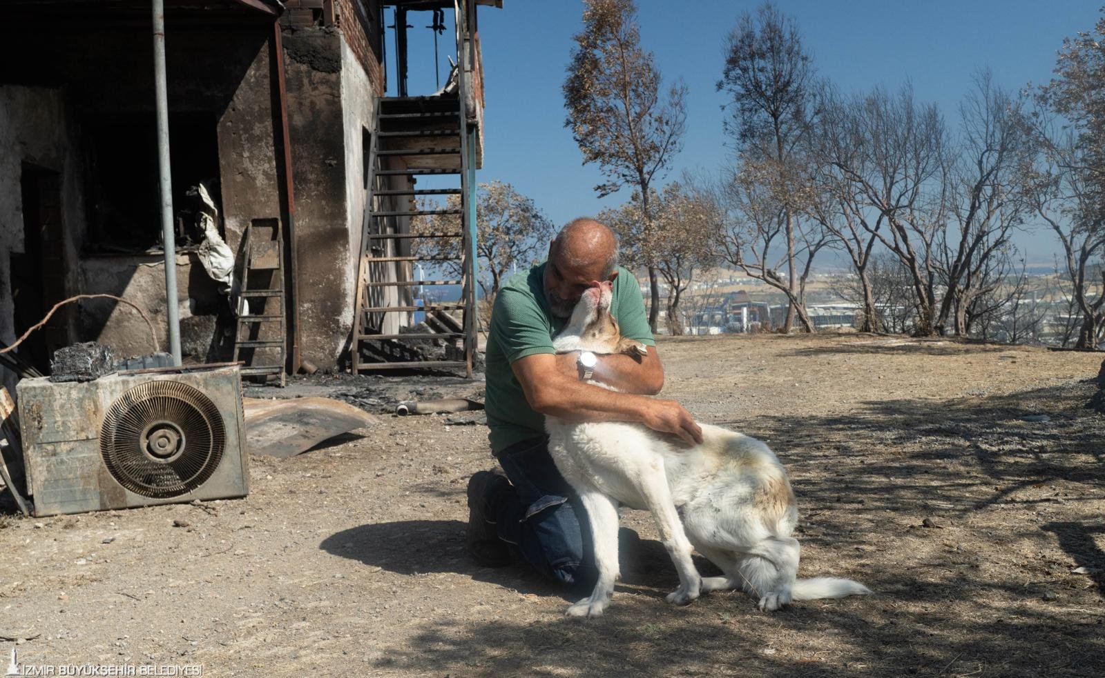 Aliağa’daki yangında yaralanan sahipsiz köpek, tedavi sonrası yıllardır onu besleyen