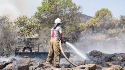 İzmir Büyükşehir Belediyesi öncülüğünde düzenlenen toplantıda, orman yangınlarının etkileri ve
