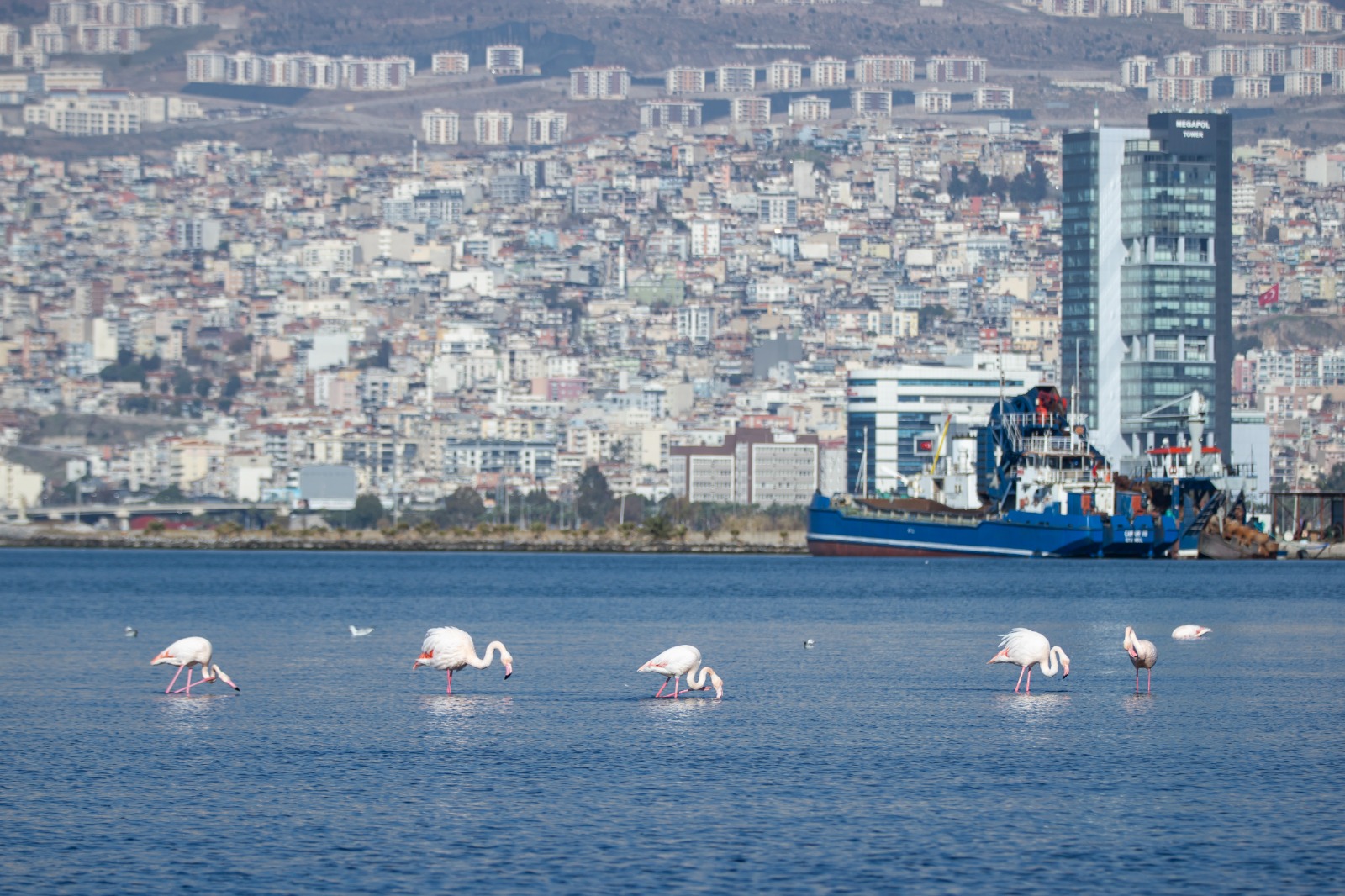 izmir İklim Uyum Eylem Planı