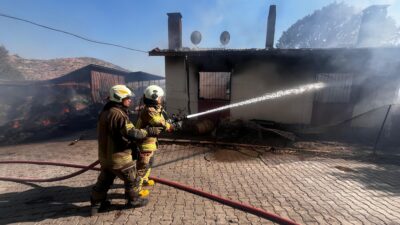 İzmir'in Bayındır ilçesine bağlı Yeşilova Mahallesi’nde çıkan ot yangını, rüzgarın