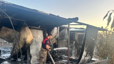 İzmir Büyükşehir Belediyesi itfaiye ekipleri İzmir’in Menderes ilçesinde Oğlananası’nda otluk