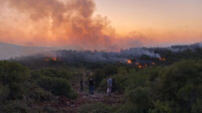 İzmir Büyükşehir İtfaiyesi ve Orman Bölge Müdürlüğü ekiplerinin hızlı müdahalesiyle,