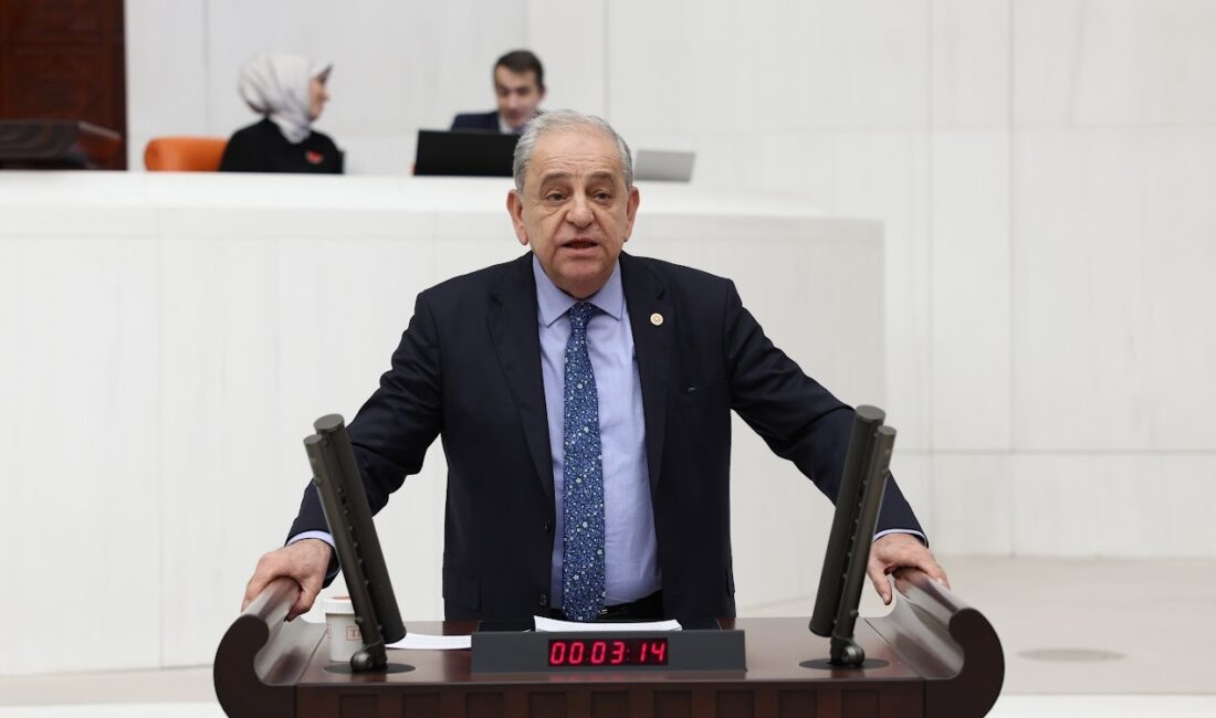 CHP İzmir Milletvekili ve TBMM İnsan Hakları Komisyonu Üyesi Rıfat