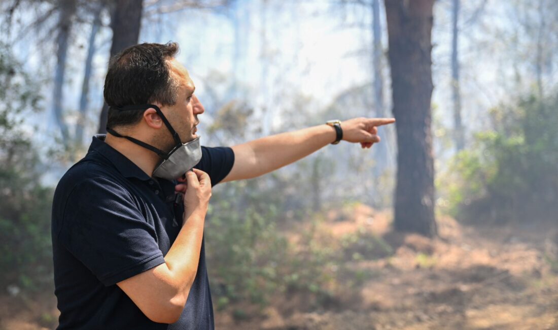 Sanayi, tarım ve orman alanlarının tehdit altında olduğu yangın, koordineli