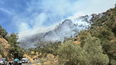 Efeler’de çıkan yangın ormanlık alana sıçradı. Ekipler, alevlere havadan ve