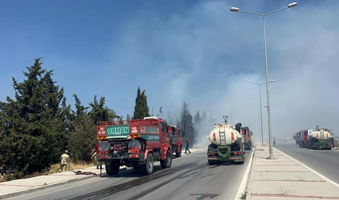 İzmir’in Buca ilçesinde çıkan orman yangınına müdahale sürüyor; ekipler, alevlerin