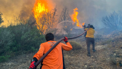 Buca Belediyesi Arama Kurtarma Birimi (BUCAKUT), İzmir ve çevresindeki orman