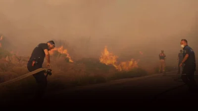 Temmuz ayında İzmir’de çıkan yangınlarda binlerce hektarlık alan kül oldu.