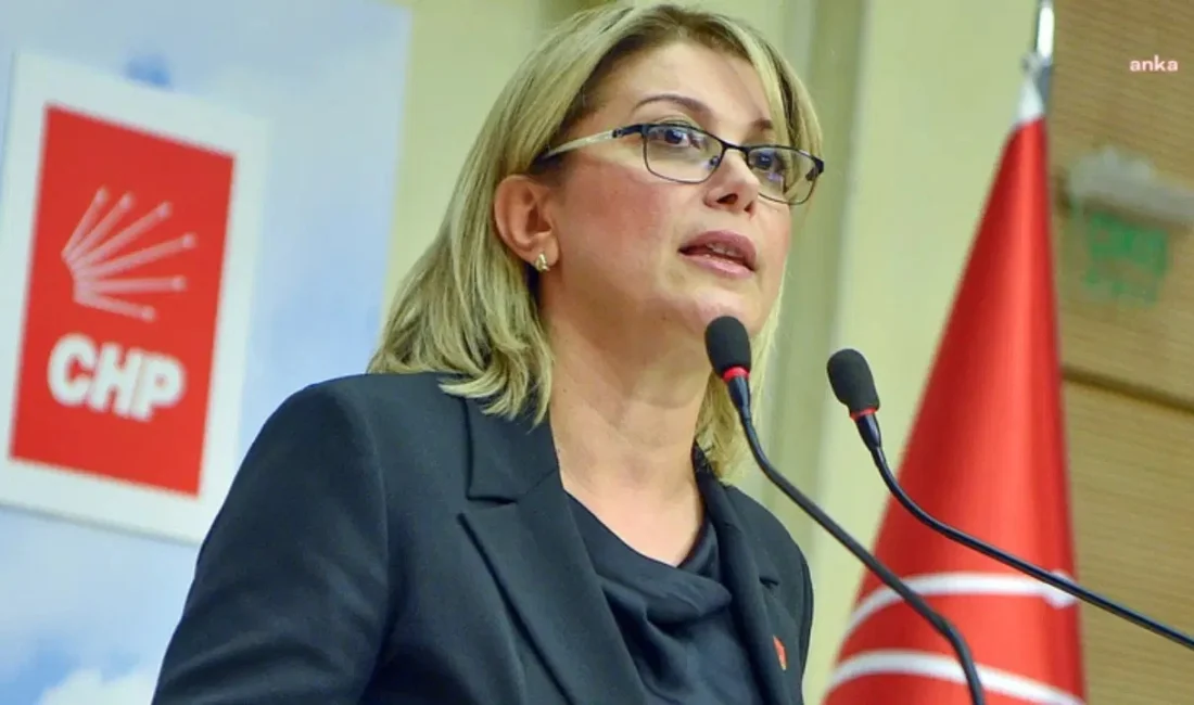 “Yarı maaş, yarı hak olmaz” diyen CHP’li Kaya, doğurganlık oranını