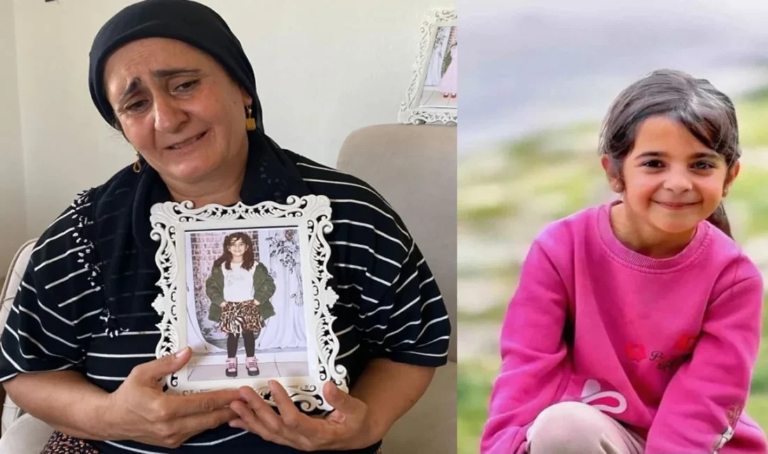 Yargıtay’a sunulan yeni görüntüler davanın seyrini değiştirebilir. Avukata göre: "Nevzat,