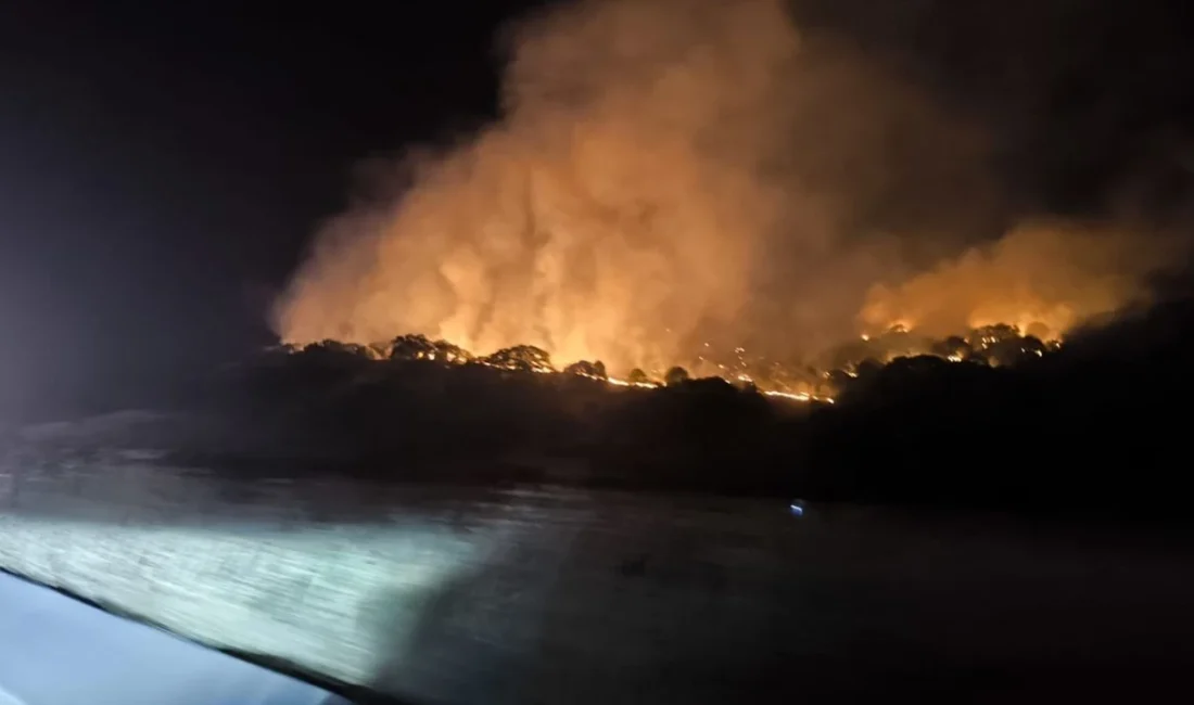 İzmir'in Dikili ilçesinde çöplükte çıkan ve makilik alana sıçrayan yangına
