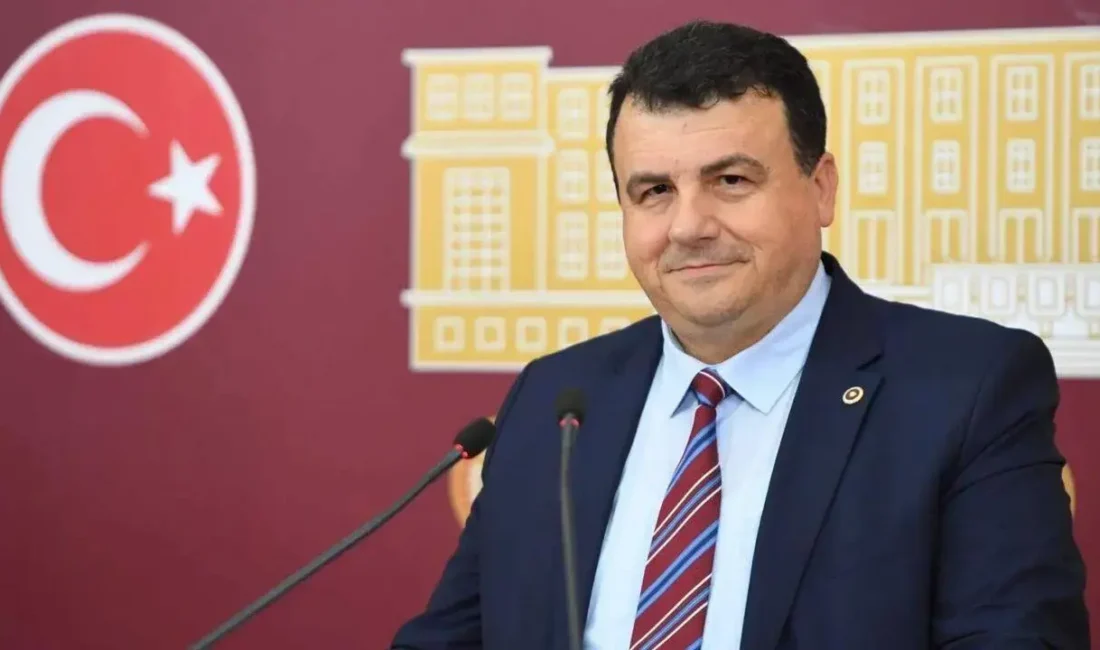 Bursa’daki orman yangınlarıyla ilgili konuşan CHP’li Hasan Öztürk, olay yerinde