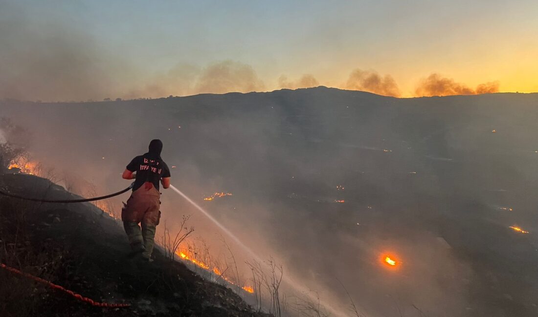 İzmir Büyükşehir Belediyesi İtfaiye Daire Başkanlığı ekipleri ile Orman İtfaiyesi, 