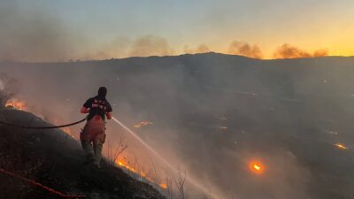 İzmir Büyükşehir Belediyesi İtfaiye Daire Başkanlığı ekipleri ile Orman İtfaiyesi, 