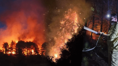 Yerlikaya, İzmir ve Bilecik illerinin “Genel Hayata Etkili Afet Bölgesi”