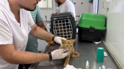 İzmir’de hem kırsal hem kentsel yangınlarda canla başla çalışan itfaiye