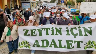 TBMM, zeytinliklerin madencilik faaliyetlerine açılmasını öngören kanunu kabul etti. ÇED