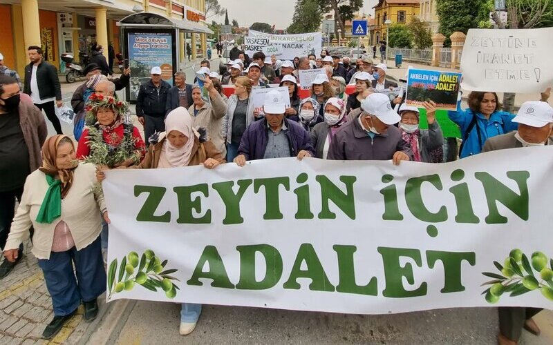 TBMM, zeytinliklerin madencilik faaliyetlerine açılmasını öngören kanunu kabul etti. ÇED