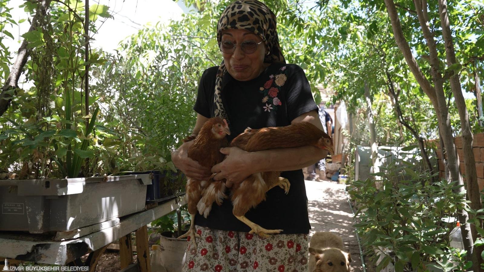 İzmir’de günlerdir süren orman ve ot yangınları, birçok yurttaşı etkiledi.