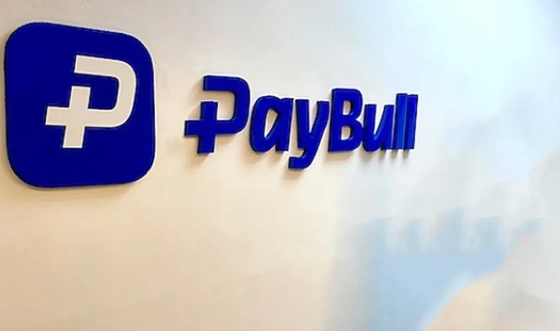 Paybull Ödeme Hizmetleri ve Elektronik Para A.Ş.’nin faaliyet izni Resmi