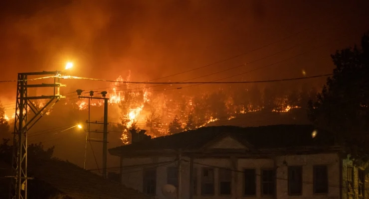 sakarya orman yangını